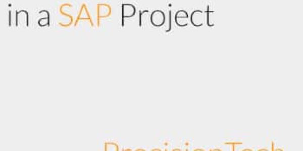 What to look out for in a SAP project